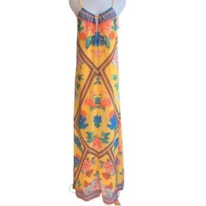 Flying Tomatoes Maxi Dress
